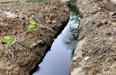 从沈丘到黄土坡：中国“癌症村”为何难以终结？