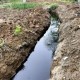 从沈丘到黄土坡：中国“癌症村”为何难以终结？