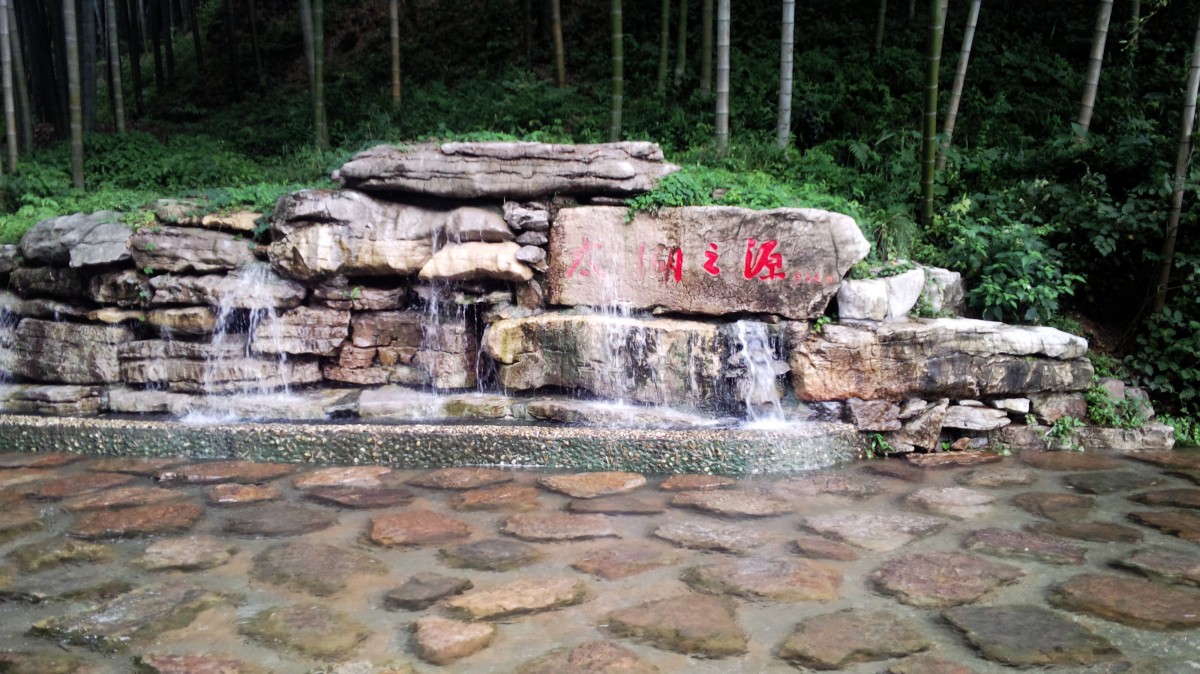 宜兴竹海1.jpg