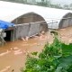 极端暴雨“常态化”之问:从阳江日雨量破千毫米透视中国气候新变局