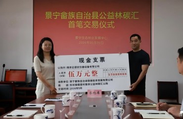 景宁完成全国首笔集体公益林碳汇交易