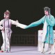 昆曲保护传承工作年会暨理论学术交流会在昆山举行