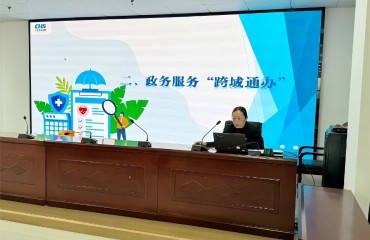 滁州蚌埠“跨城通办”背后的区域协作新样本