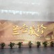 江苏档案文献遗产图文展：打开一扇公共记忆之窗