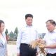 姜冬冬调研我市“三夏”农业生产工作
