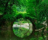 從“口頭承諾”到“全程留痕”：長(zhǎng)三角正在織一張?jiān)鯓拥穆糜蜗M(fèi)安全網(wǎng)？