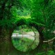 从“口头承诺”到“全程留痕”：长三角正在织一张怎样的旅游消费安全网？