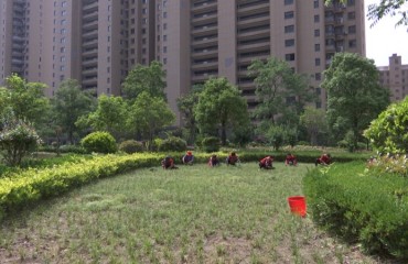 提质焕新 相关小区夏季绿化管护忙