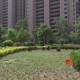 提质焕新 相关小区夏季绿化管护忙