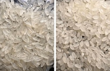 一桌双标、两种毒米：AI恐慌过后，外卖米饭的真实隐情藏不住了