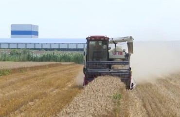 黄桥：全程机械化作业 夏收夏播按下“快进键”