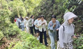 黄山市徽州区：青年英才齐聚新安药谷 青科有约共话乡村振兴