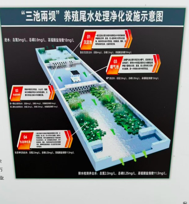 大闸蟹产业园尾水处理图.png