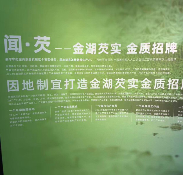 金湖芡实.png