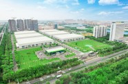 关键企业支撑关键产业：从三颗“金种子”看金湖工业的进阶之道