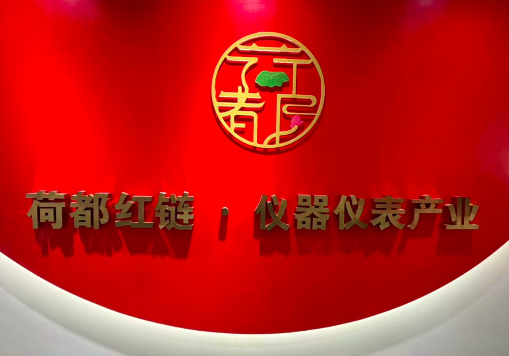 金湖仪器仪表产业.png