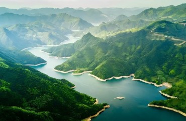 景宁公益林碳汇首单落地：森林固碳有了生态“增值表”