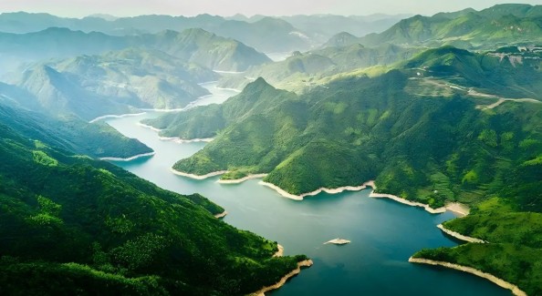 景宁公益林碳汇首单落地：森林固碳有了生态“增值表”