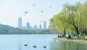 “兴趣驱动”成毕业旅行新逻辑：南京借“观赛看演”跻身热门前十