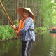 一场天地之间的盛大邂逅——金湖水上森林游记