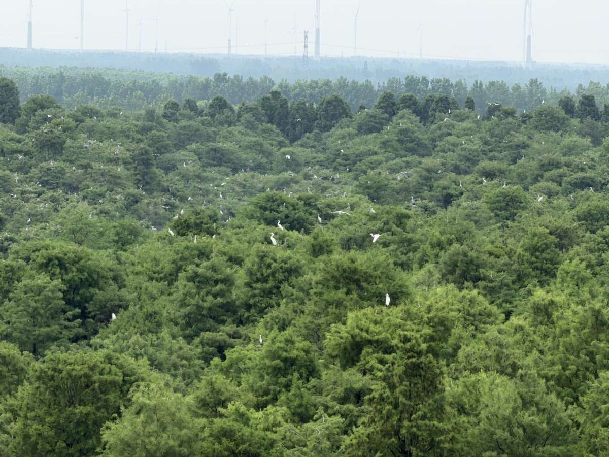 微信图片_20260617103219_179_64_Jc.jpg