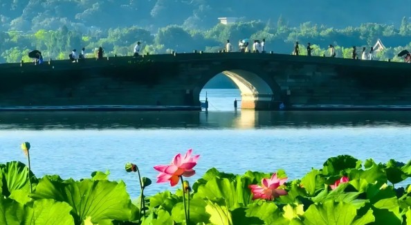 6月24日“西湖日”15景免票，千岛湖首次加入
