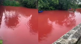 “白色浮沫”与“红色血水”背后，城市环境风险防线为何接连失守