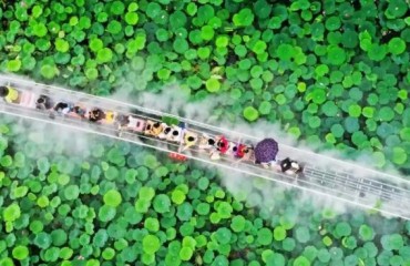 排队两小时只为12分钟：陶冲湖“荷塘小火车”何以火爆出圈?