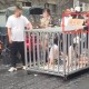 “关笼游街”真相已明，一句“谣言”背后的信任寒蝉