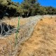 一围了之,一拆了之:泰山“刀片网”撕开了什么?