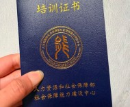 上海率先破题：陪诊行业“野蛮生长”时代迎来终局