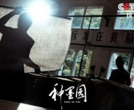纸寿千年 墨韵万变：《种墨园》以匠心为笔，续写宣纸文脉新篇