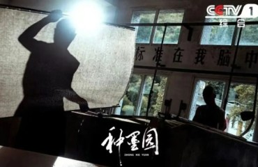 央一黄金档热播《种墨园》：以宣城千年宣纸非遗 赓续文脉新荣光