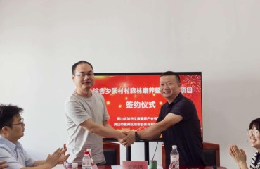 黄山市徽州区：森林康养项目签约落地 直播达人助力振兴