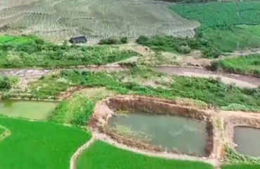 种在纸上的水稻，谁来收割？——湖南江华虚假台账背后的“粮食安全”之问