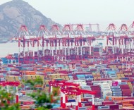 全国都在承压，上海为什么还能往上走？