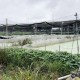 “泡药杨梅”才问责23人,“抗生素牛蛙”又来了:我们离“吃啥都怕”还有多远?