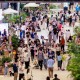 3亿元中央资金投向45个项目，温州在下一盘怎样的消费大棋？