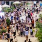 3亿元中央资金投向45个项目，温州在下一盘怎样的消费大棋？