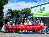 文明聚力 向美而行｜六月新时代文明实践活动集锦