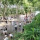 黄山市徽州区:枫杨林下踏清溪 西溪南夏日溯溪点燃“清凉经济”