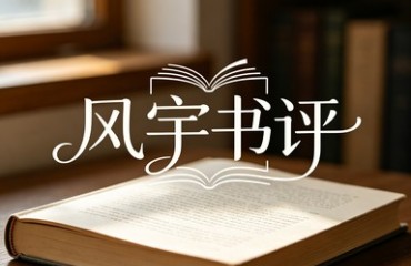 风宇书评｜低处的飞行，高处的回声