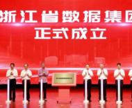 一家钢铁厂，能撑起浙江的“数据江山”吗？