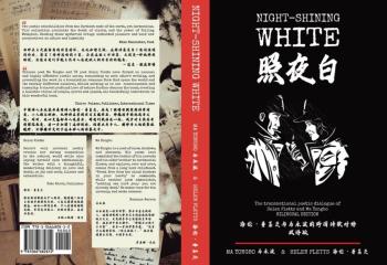 马永波与海伦•东西方诗人的跨文化对话——海伦·普莱茨访谈录
