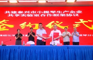 黄桥小提琴专业特色市场整治提升现场推进会召开