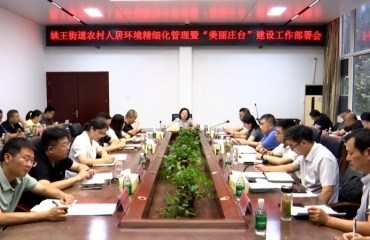 姚王街道部署农村人居环境精细化管理工作