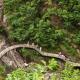 “皖南泾旌绩”全域旅游先行区:从山水文脉到全域热土的深度突围