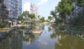 物业、居民共建共治 小区河道焕新颜