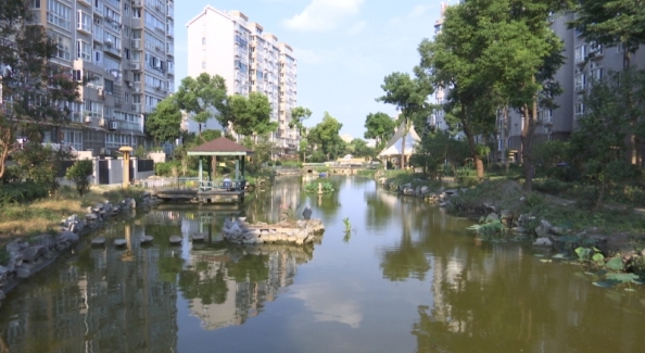 物业、居民共建共治 小区河道焕新颜