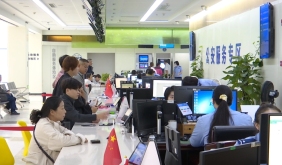 满格复活 政务服务迎来节后办事高峰